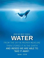And we sent down water from the sky in proper measure - Quran 23-18